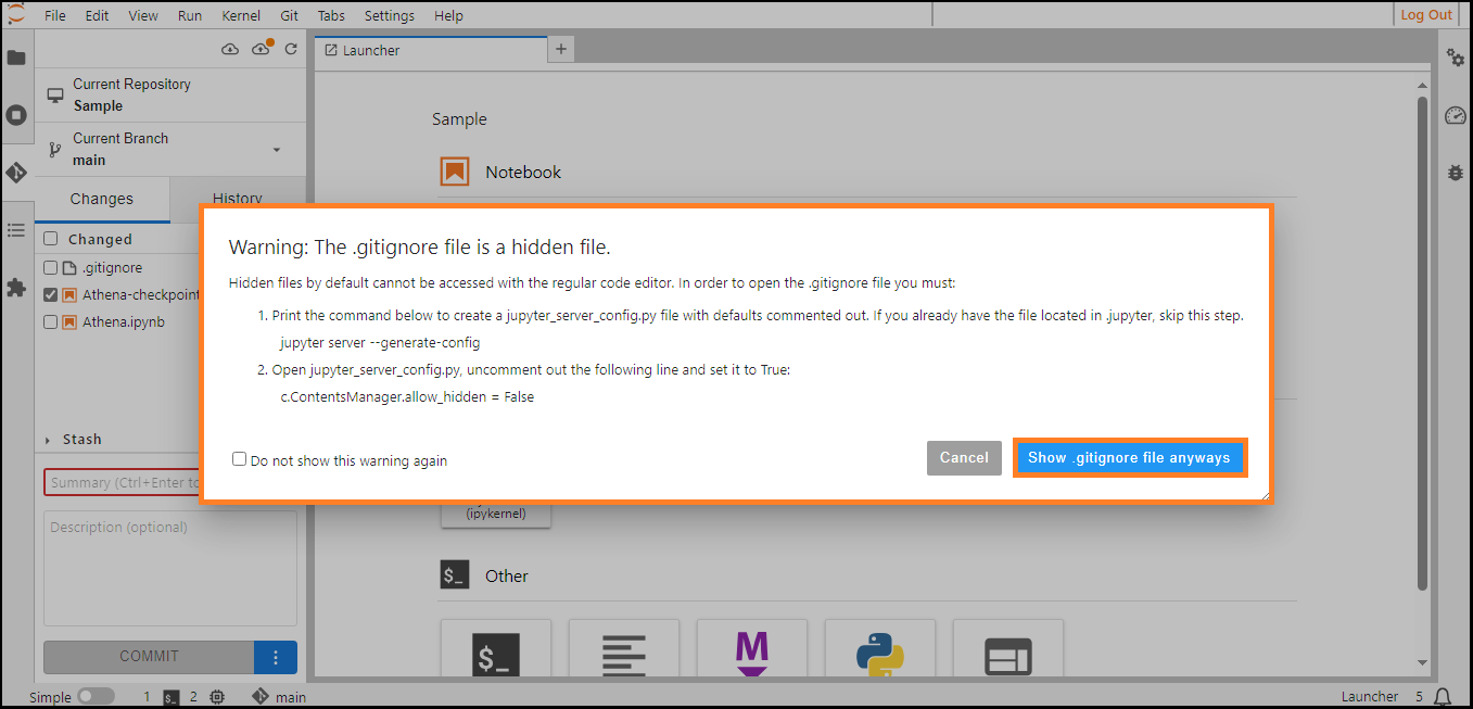 ../../../../_images/Notebook_Git_Gitignore_Warning.png